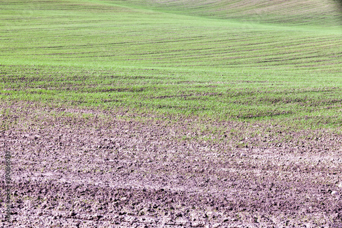 agricultural field in Europe