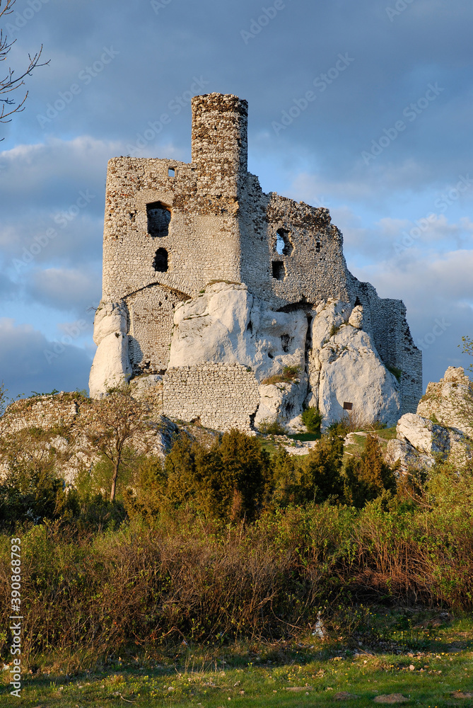 Ruins of the castle in Mirów, Poland