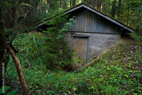 Old abandoned wooden cabin in the firest surrounded with green trees and covered with moss. Finland.