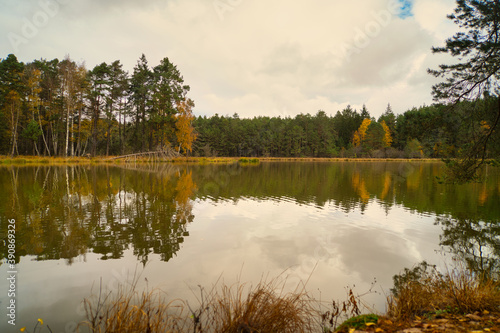 November Spaziergang im Herbst, bunte Blätter, fallendes Laub, Natur von ihrer schönsten Seite