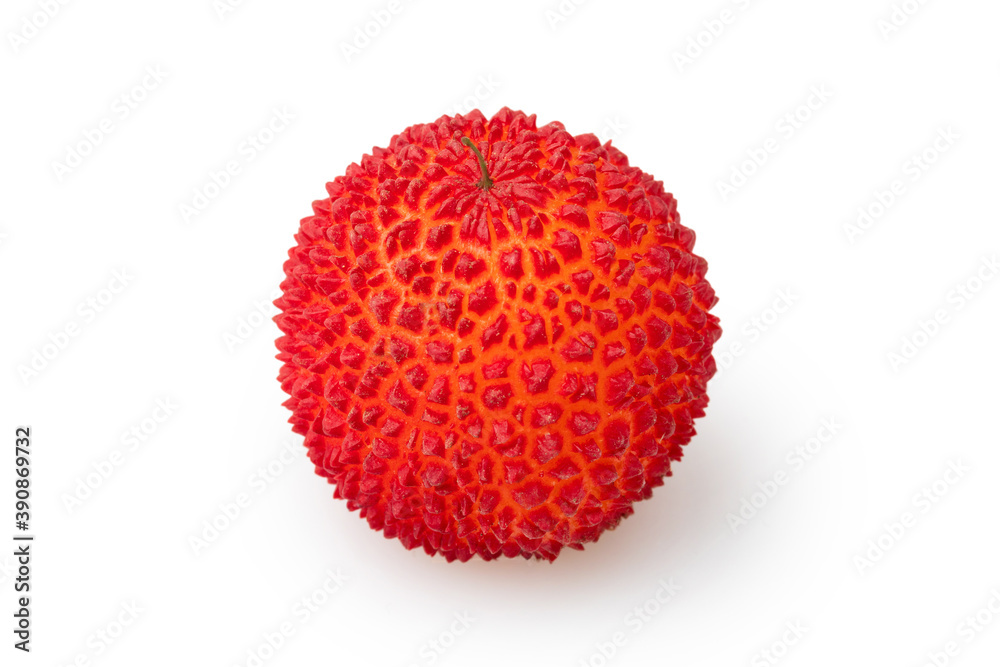 Arbutus Berry isolated in white background Arbutus Berry isolated in white background