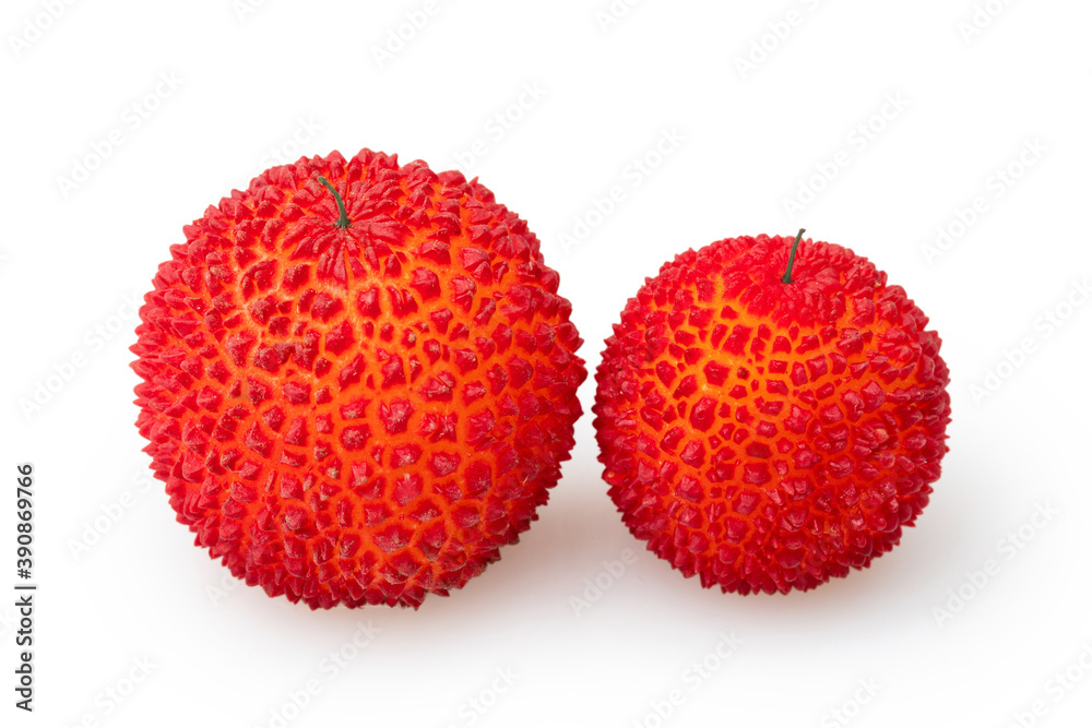 Arbutus Berry isolated in white background Arbutus Berry isolated in white background