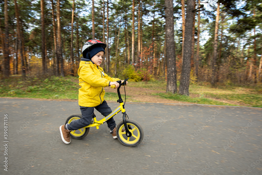 Sportive little boy in casualwear and safety helmet riding on balance bicycle Sportive little boy in casualwear and safety helmet riding on balance bicycle