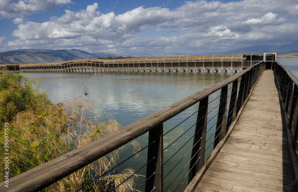 View from an observation bridge on Hula Lake nature reserve, located within the northern part of Syrian-African Rift, between Golan Heights in the east & Upper Galilee mountains in the west, Israel.