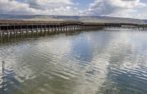 View from an observation bridge on Hula Lake nature reserve  located within the northern part of Syrian-African Rift  between Golan Heights in the east   Upper Galilee mountains in the west  Israel.