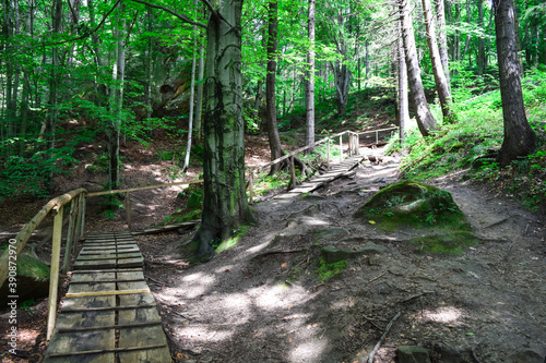 Wooden path and bridge in the forest. Eco trail among boulders and trees on a summer day. The concept of ecology  ecotourism  business