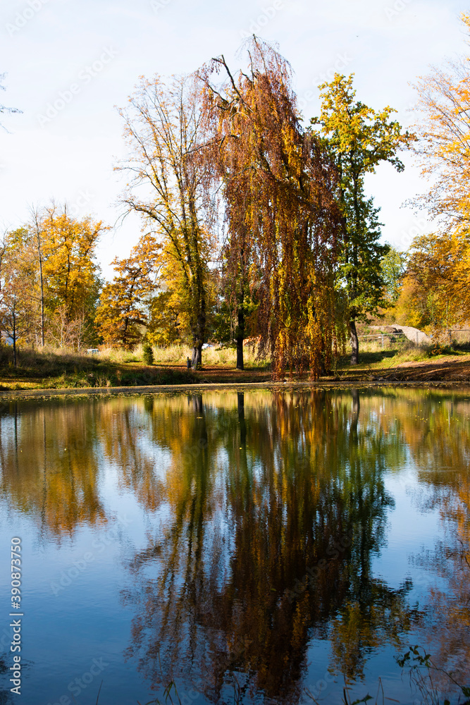 Fototapeta premium Bäume, im Wasser gespiegelt, Herbststimmung