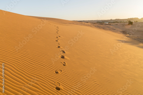 Foot prints in the desert sand, Sahara desert, Chad, Africa