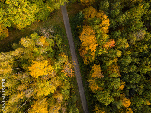 Aerial view of autumn forest. Fall landscape with red, yellow and green foliage as seen from above.