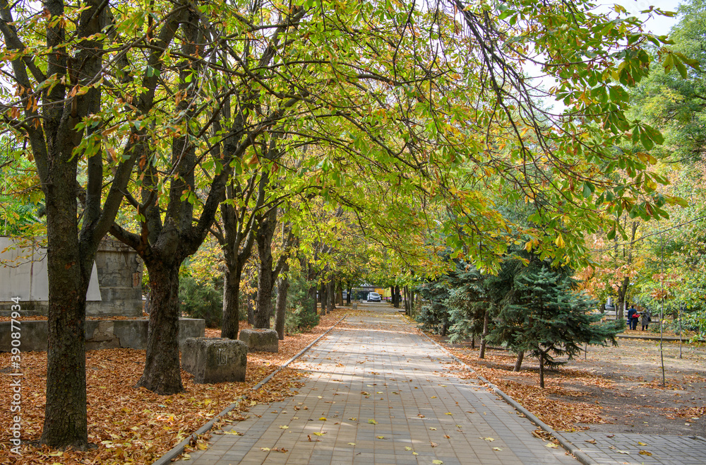 Autumn has come to the city. Gorky Park Autumn has come to the city. Gorky Park