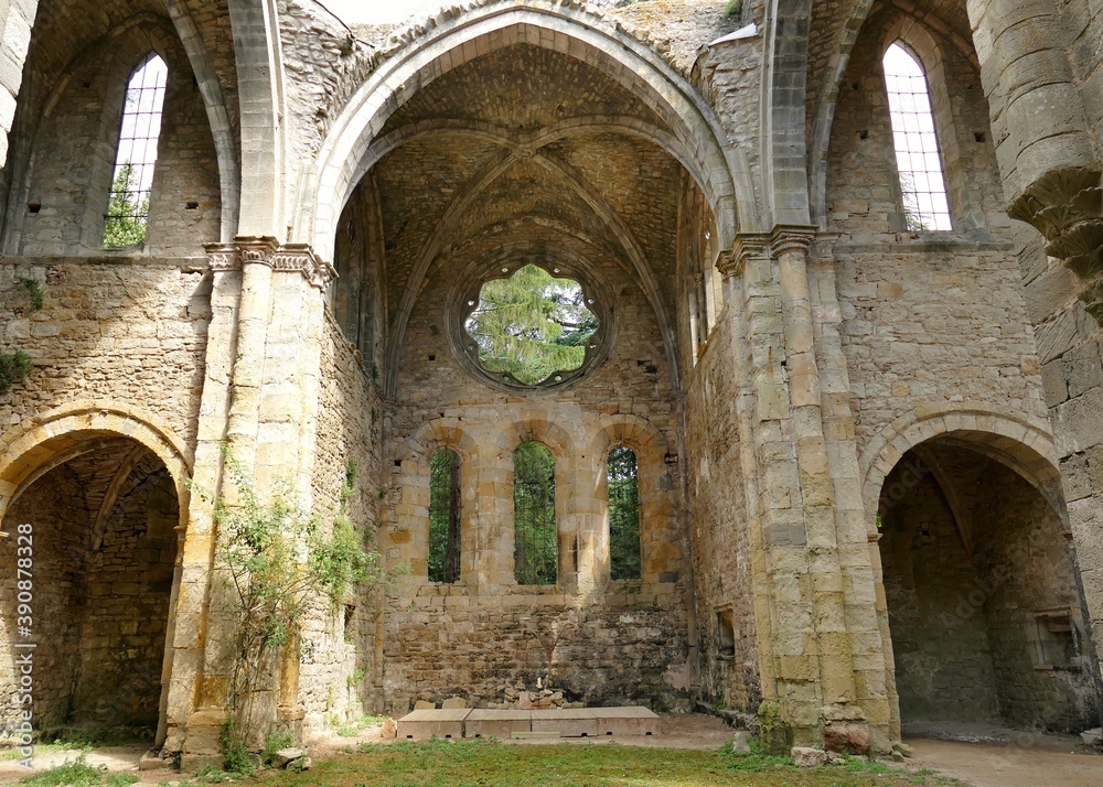 
Vestiges de l’intérieur de l’abbaye Sainte-Marie de Villelongue en ruines
