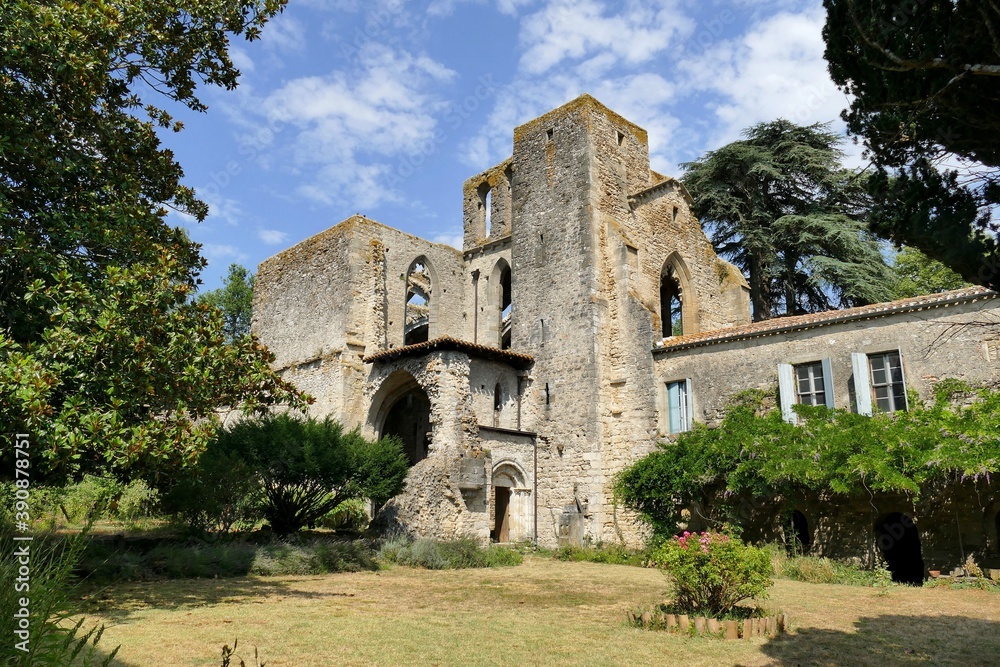 Vestiges de l’abbaye Sainte-Marie de Villelongue en ruines