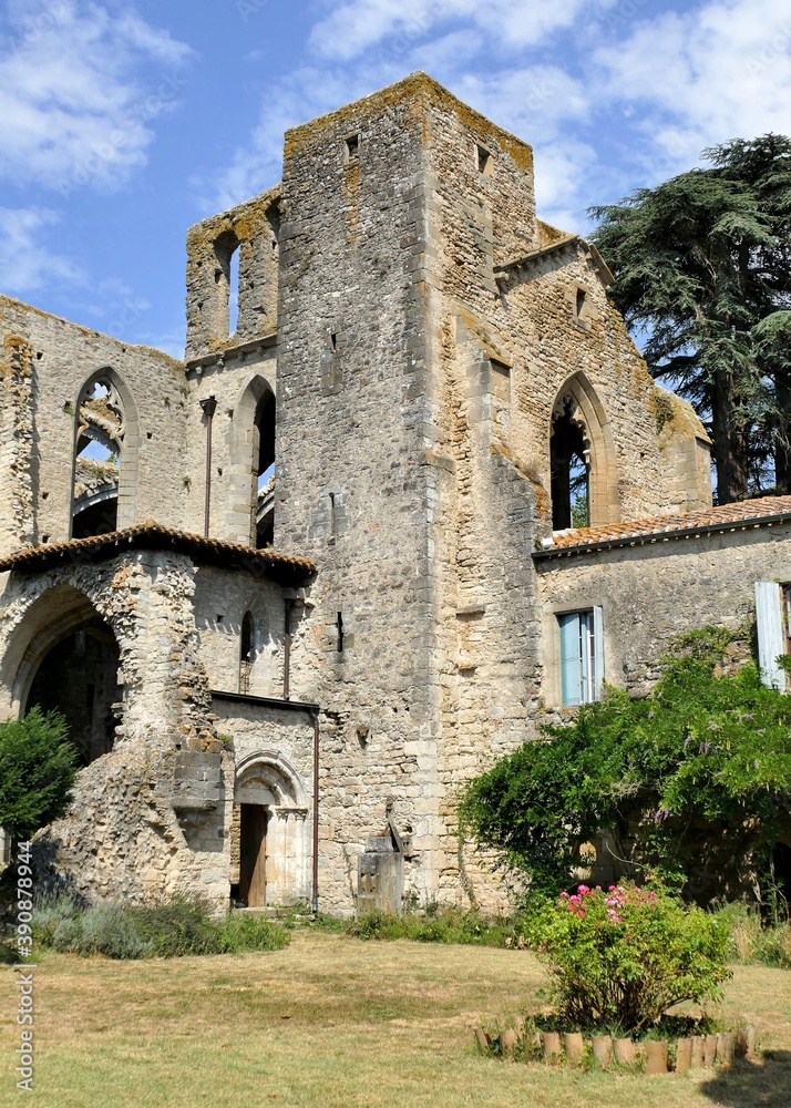 Vestiges de l’abbaye Sainte-Marie de Villelongue en ruines