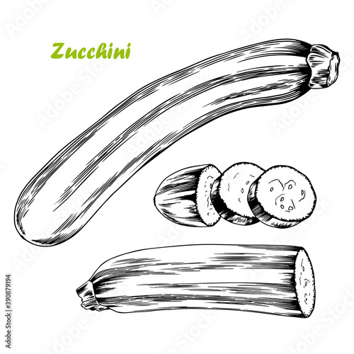 Hand drawn zucchini vegetable.