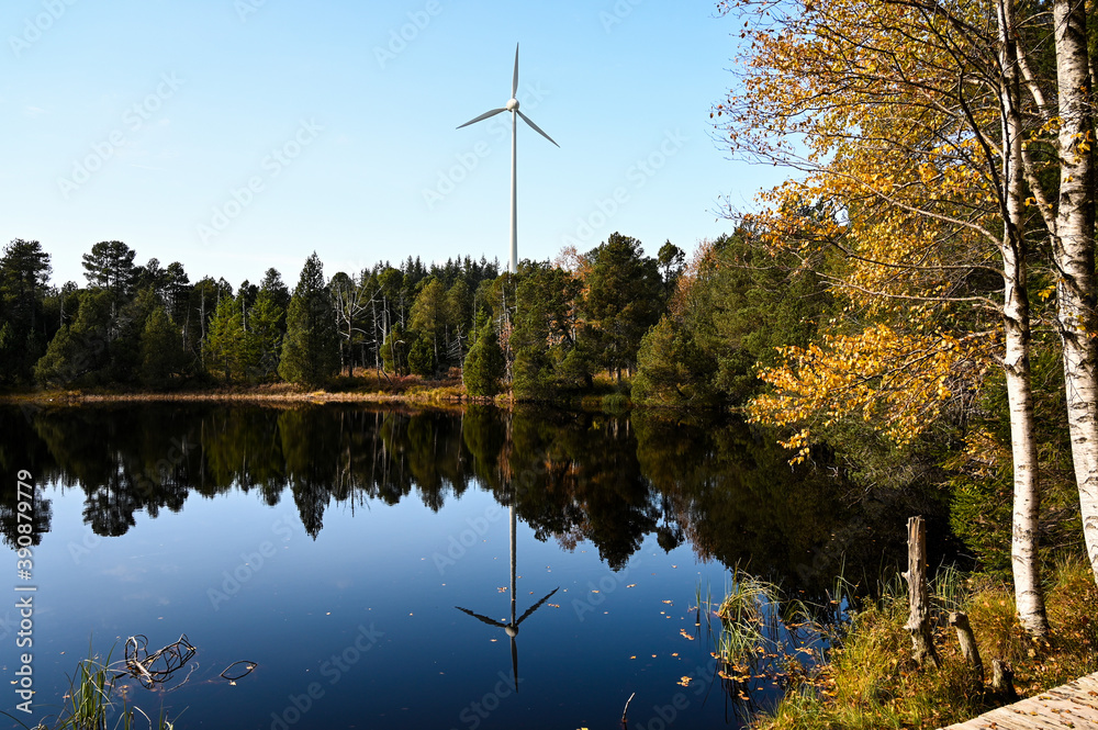 Obraz premium Beautiful Lake Blindensee in the Black Forest, Germany during autumn with its dark, clear water and the wind power station and forest reflecting in it.