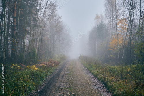 Fototapeta Naklejka Na Ścianę i Meble -  wiejska ścieżka,ścieżka,droga,mgła