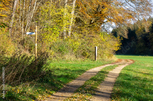 Wandern am Kalvarienberg photo