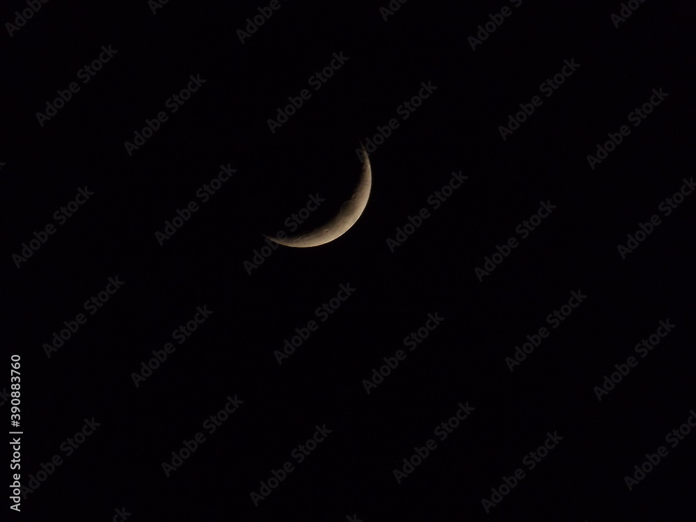 moon moon