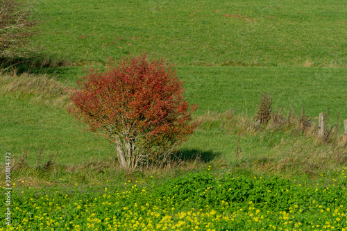 Wandern am Kalvarienberg photo