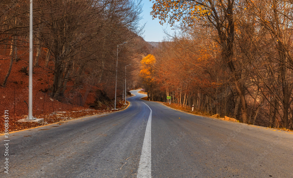 Fototapeta premium Winding mountain road through autumn forest