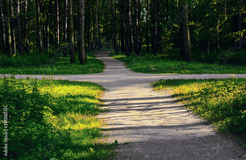 Crossroads in the park. Two alleys in the rays of the sun and with shadows intersect in the park in the summer photo