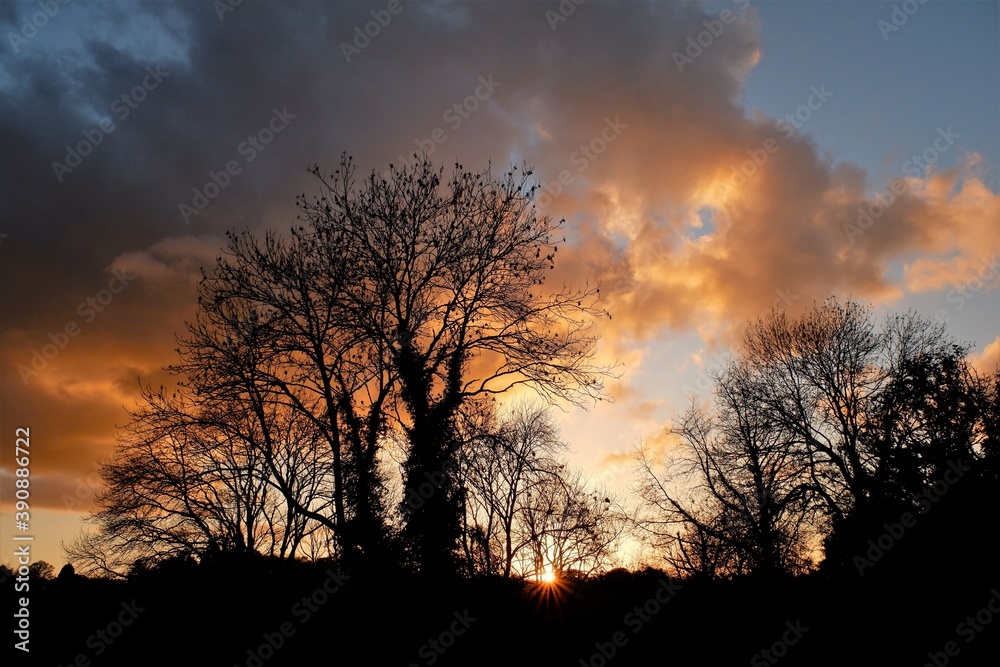 Dramatic sunset with cloud reflection and silhouetted trees