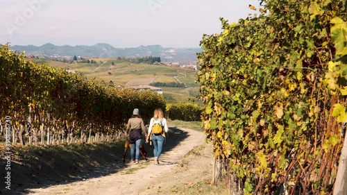 Women walking with a dog among Barolo vineyards width beautiful autumn colors in Langhe and Roero, Piedmont, Italy photo