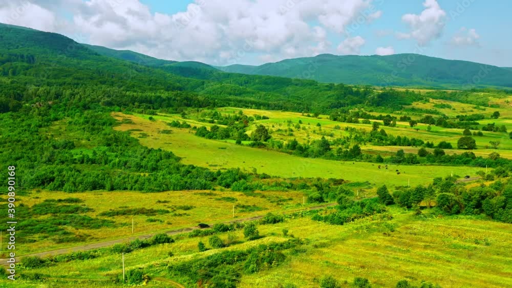 aerial view on meadow pasture mountains landscape with green forest daytime in summer season aerial view on meadow pasture mountains landscape with green forest daytime in summer season
