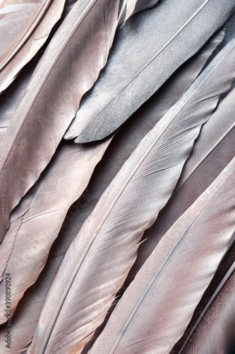 Stylish metallic pink and silver abstract feather texture.