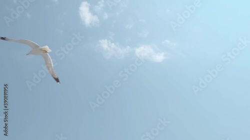 Close up pan shot of seagulls flying above ship with the clouds in the background