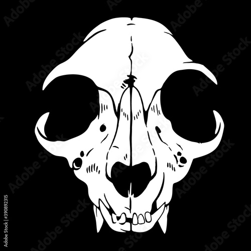 white animal skull on a black background