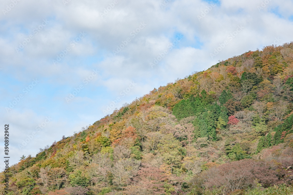 箱根の山、明星ヶ岳 箱根の山、明星ヶ岳
