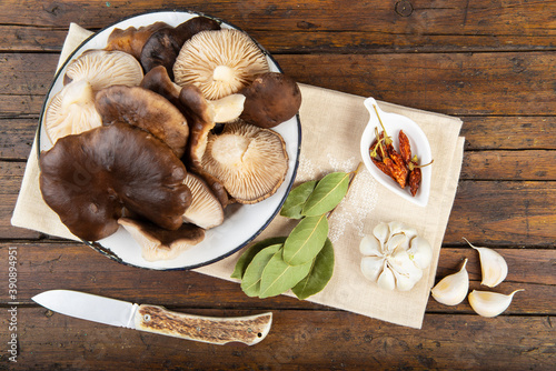 Setas de cardo para una cocina vegetariana y comida saludable