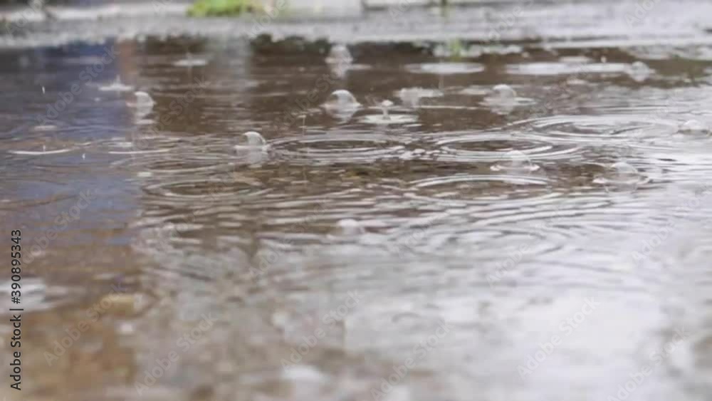 Rain