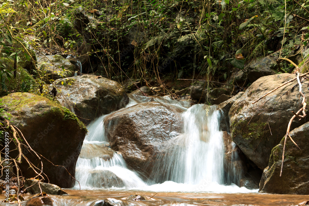 Fototapeta premium paisajes naturales