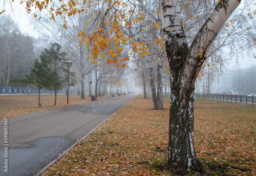 Late autumn in the city. Fog, rare leaves on the trees.
