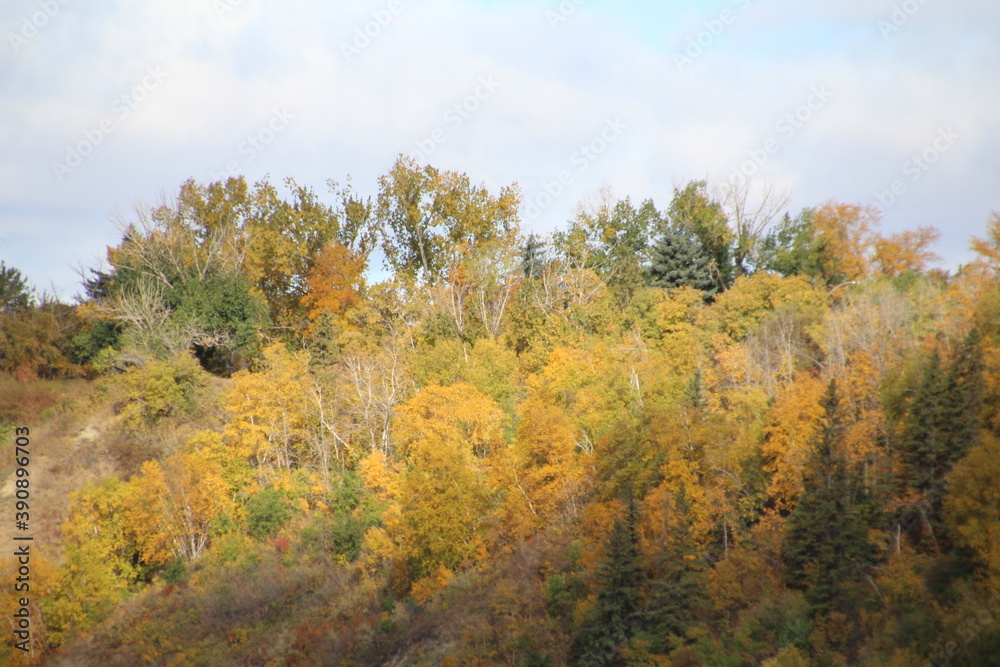 Colours On The Hill, Gold Bar Park, Edmonton, Alberta Colours On The Hill, Gold Bar Park, Edmonton, Alberta