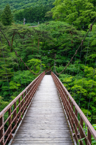鬼怒川のつり橋 © kazu8