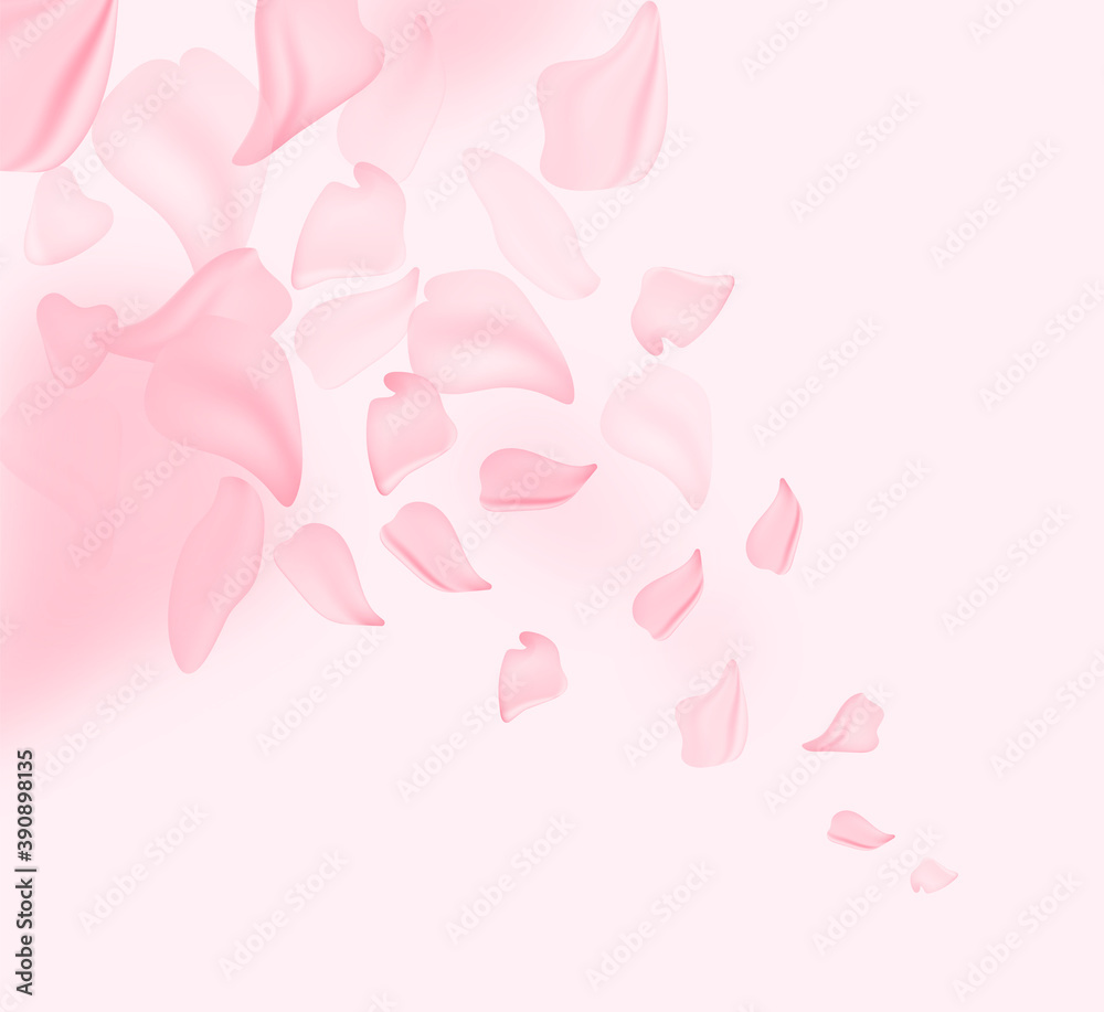 Sakura blossom flowers and may floral nature on pink background. For banner, branches of blossoming cherry against background. Dreamy romantic image, landscape, copy space.