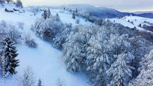 Beautiful landscape in the mountains in winter after a snowfall. Trees in the mountains floor with snow