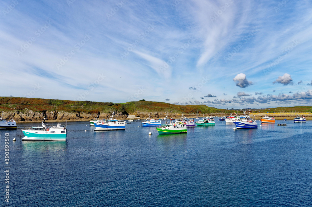 Fototapeta premium Port, Le Conquet, Finistère, Bretagne, France