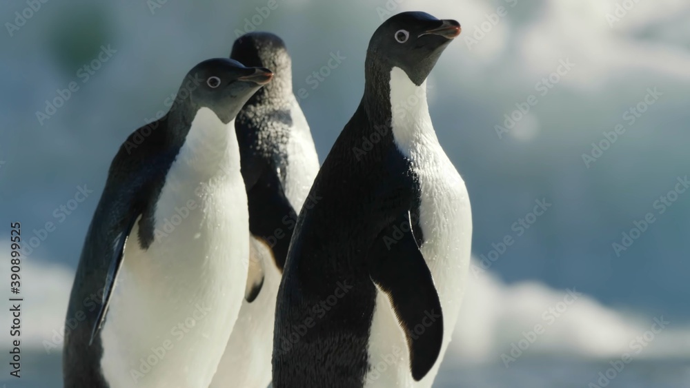 Fototapeta premium природа и животные