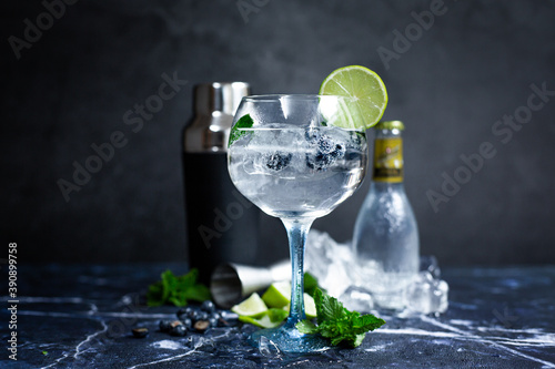 Glass of gin and tonic with mint, lime wedges and ice on a grey background photo