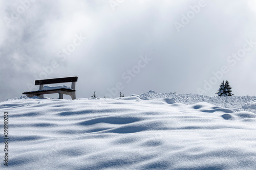 bench in the snow