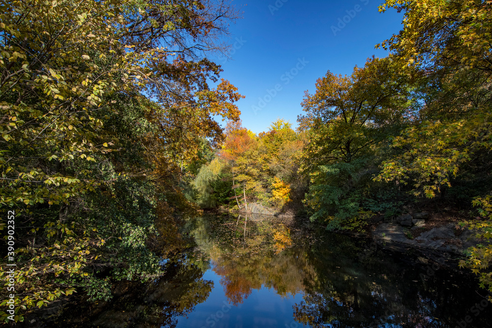 Trees reflect off Bank Rock Bay in Central Park, New York City