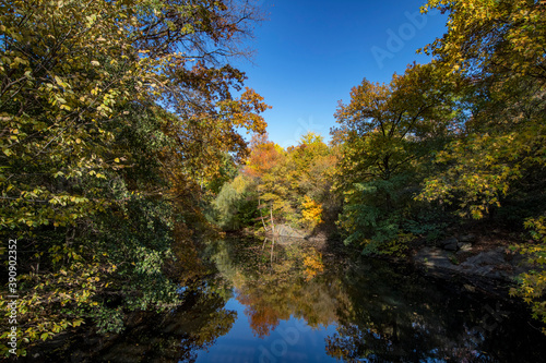 Trees reflect off Bank Rock Bay in Central Park, New York City