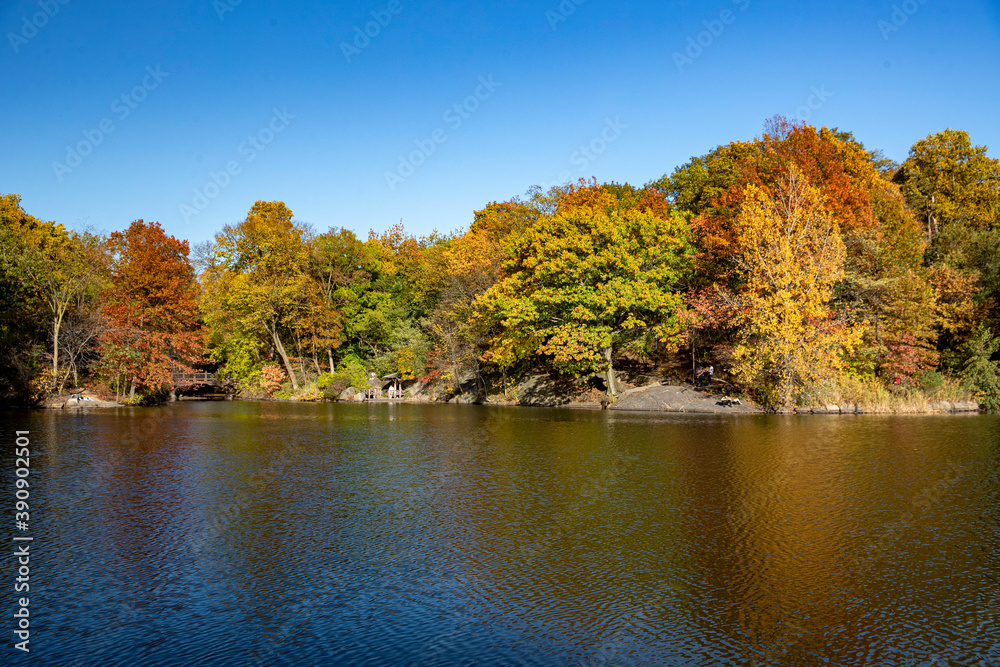Trees reflect off the Lake in Central Park, New York City