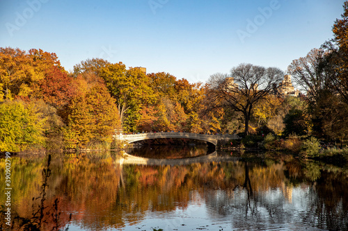 Fototapeta Naklejka Na Ścianę i Meble -  The Bow Bridge over the Lake in Central Park, New York City