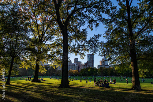 The Sheep Meadow in Central Park, New York City
