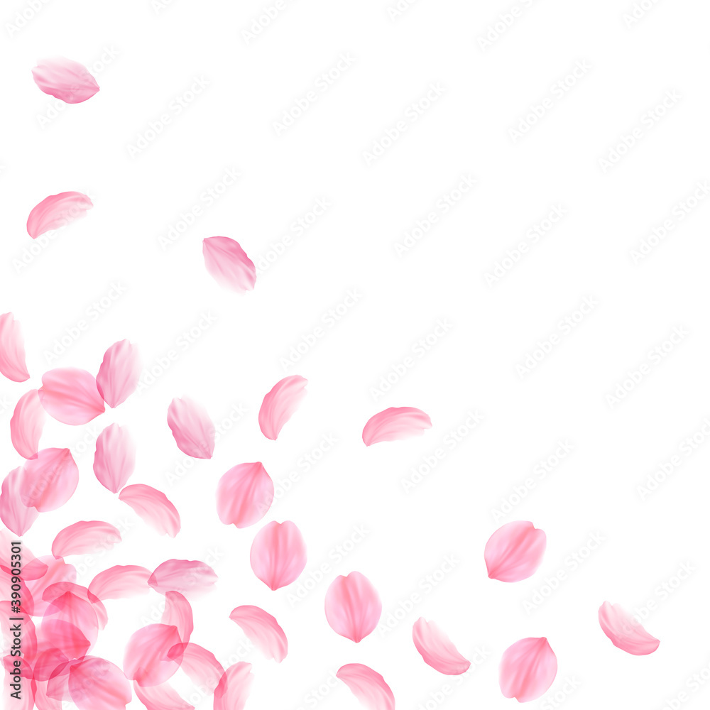 Sakura petals falling down. Romantic pink silky bi Sakura petals falling down. Romantic pink silky bi